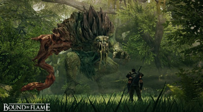 New Bound by Flame Info Revealed