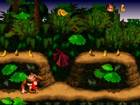 DKC-1