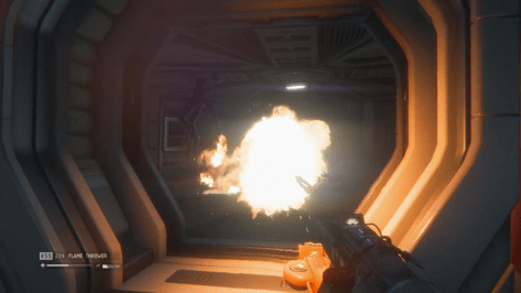 Fire is the best way to scare the Alien away.