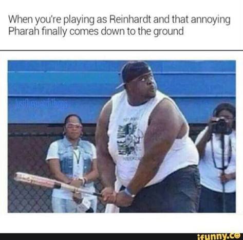 reinhardt baseball bat