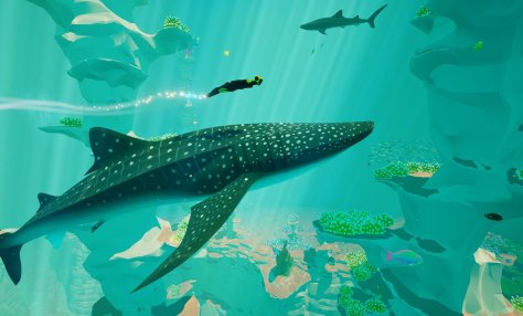 whaleshark_jpg_1400x0_q85